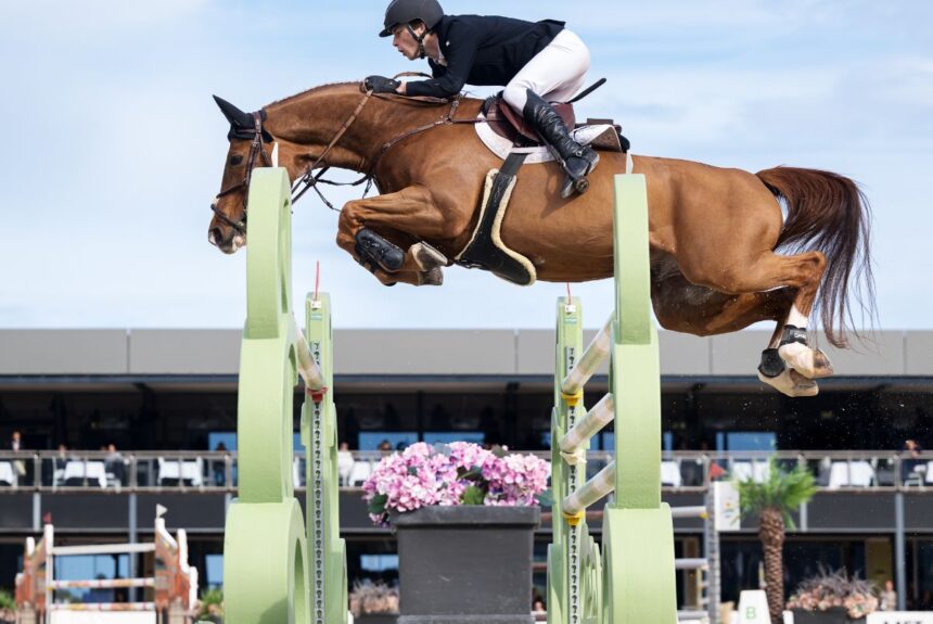 Seppe Wouters and Quito de Mariposa outshine their elders in the CSI3* 1.50m CHG Grand Prix at Oliva Nova