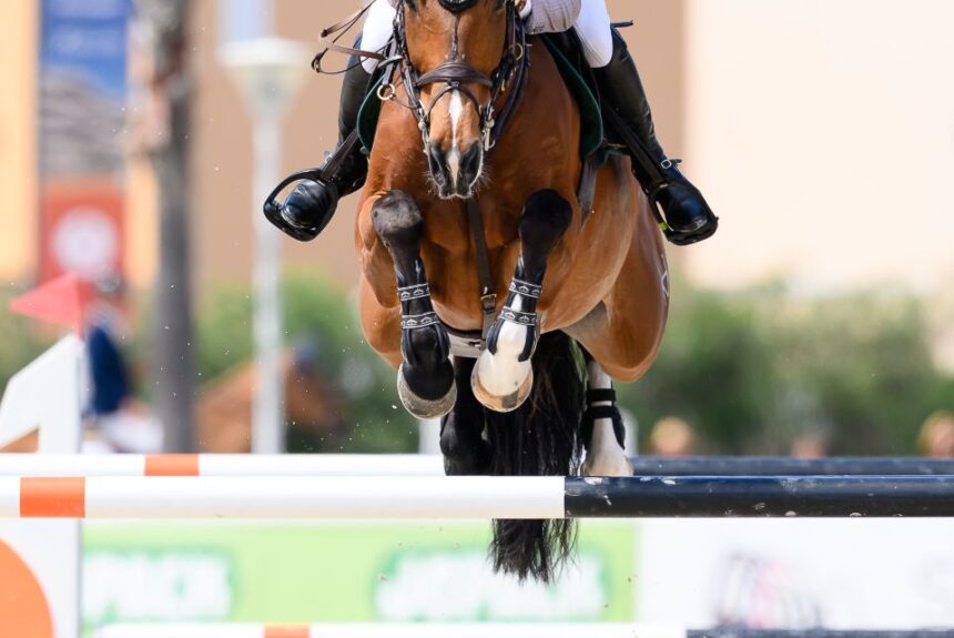 En route to Aachen 2026 – Stephan de Freitas Barcha and Chevaux Primavera Imperio Egipcio win the CSI3* 1.50m CHG Grand Prix at Spring MET IV 2026